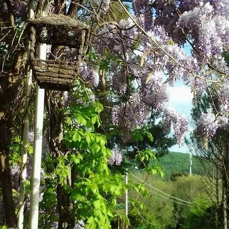 Ristorante Sole 3* Múggia