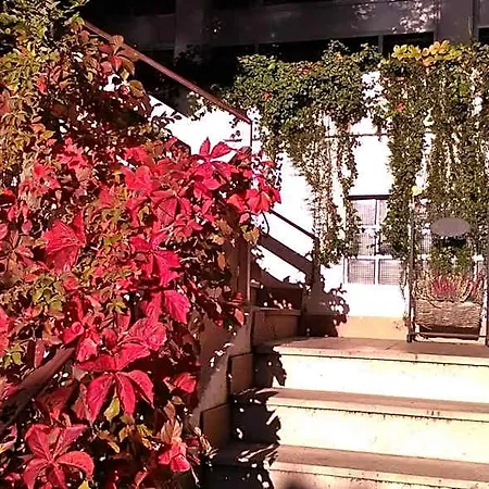 酒店 索尔餐厅酒店