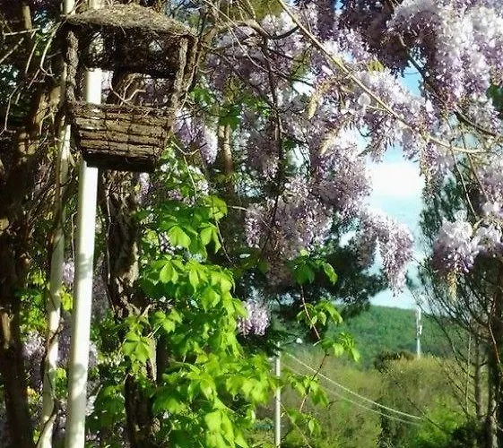 Ristorante Sole 3* Muggia