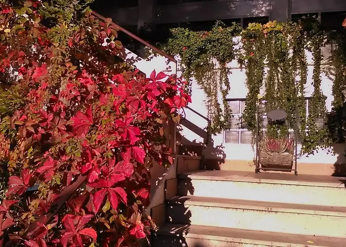 Ristorante Sole Hotel Muggia